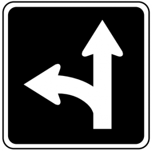 Trubicars this lane left or through