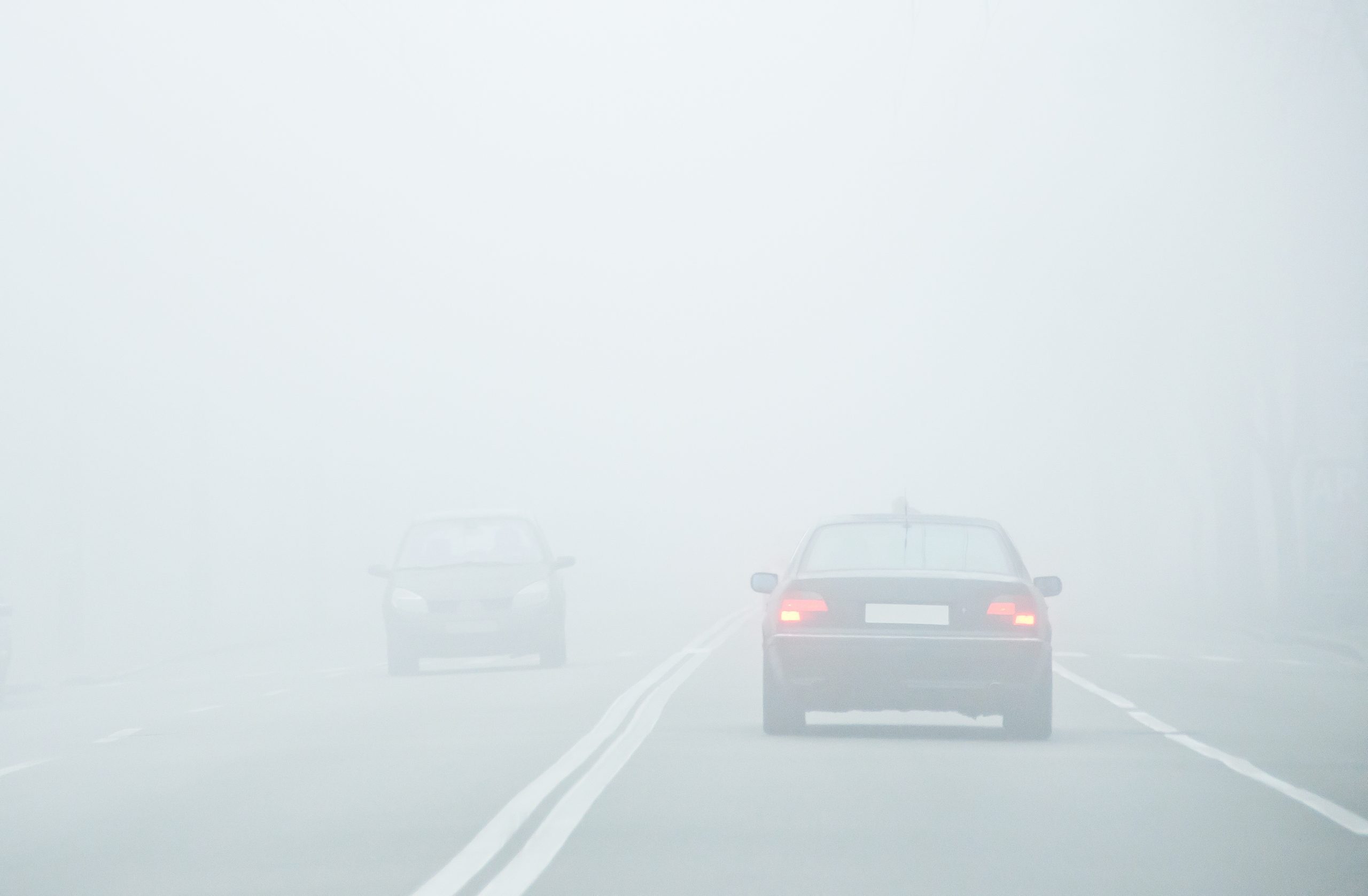 Driving In Fog Drivers Education