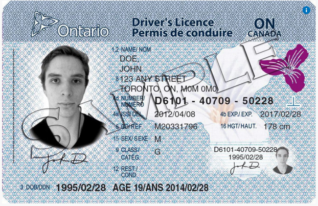 Four Black Dots Ontario Drivers License