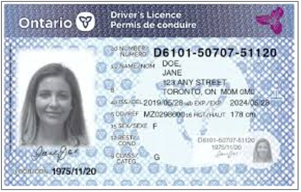 Trubicars driving license in ontario