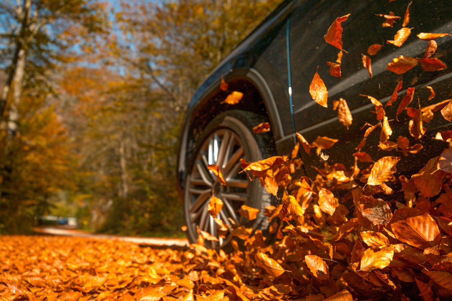 Driving in the fall season - Drivers Education